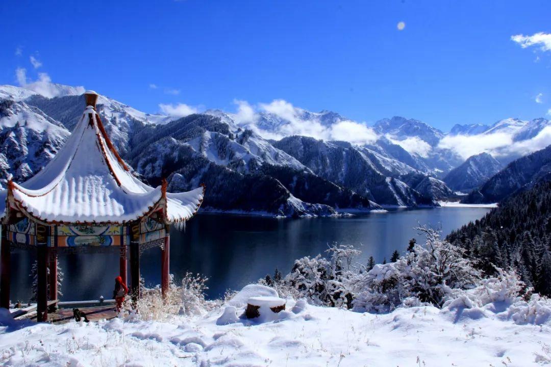 逗小猴开心系列178